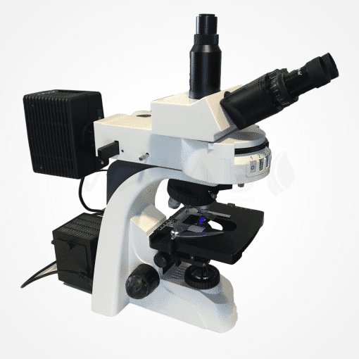 Microscope épi-fulorescence bitumes modifiés