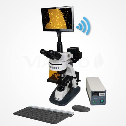 Microscope à Epi-Fluorescence