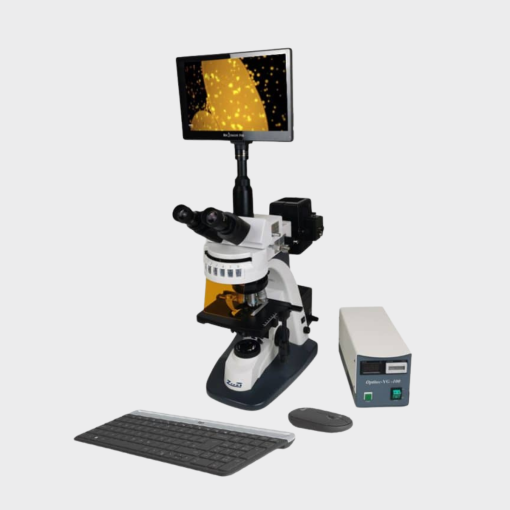 Epifluorescence Microscope